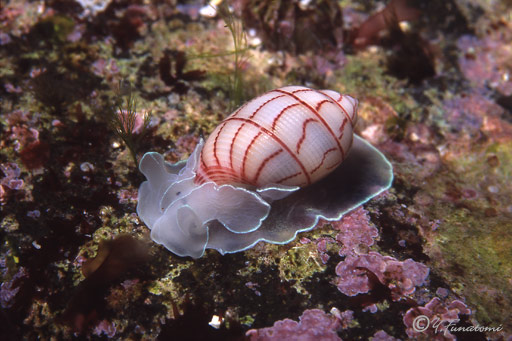 �x�j�V�{���K�C