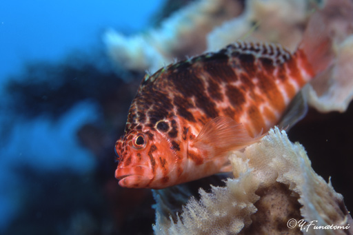 �~�i�~�S���x