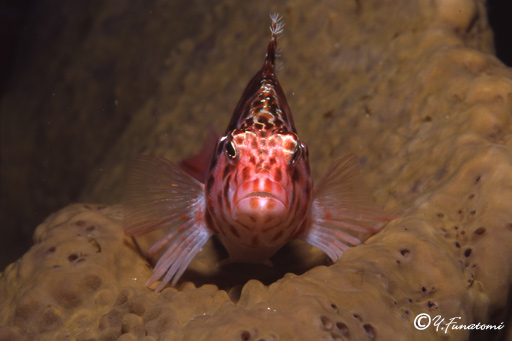 �~�i�~�S���x