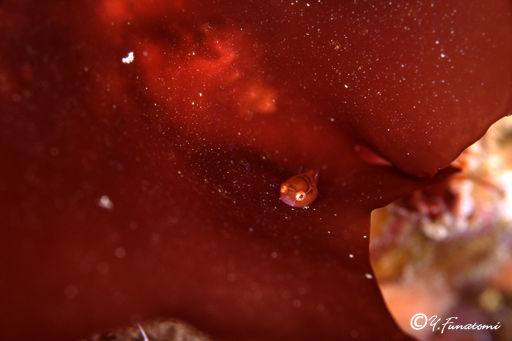 �_���S�E�I